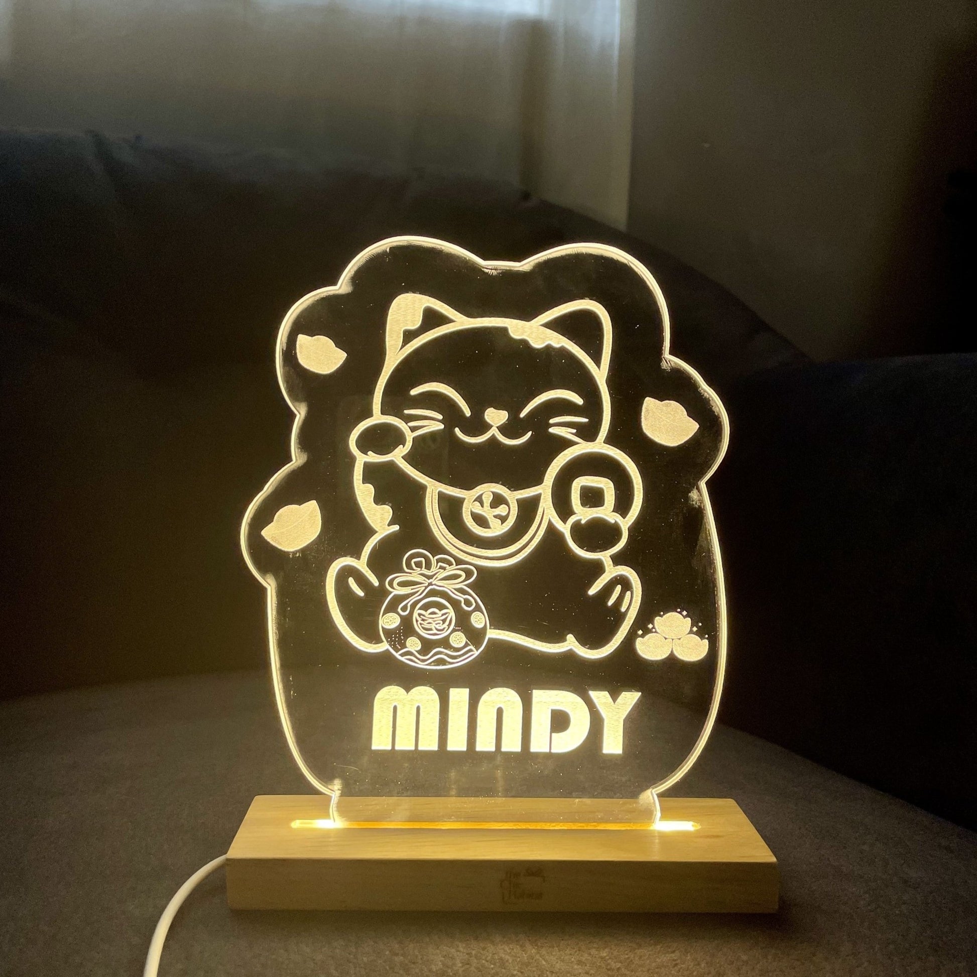 Radiant Career Lights | Acrylic LED Night Light for Professionals - Personalized Gift - The Chic Habitat